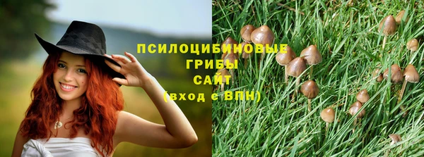 марки lsd Балабаново