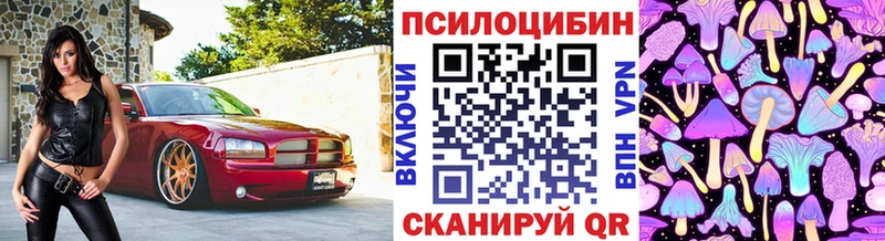 Псилоцибиновые грибы Cubensis Калининец